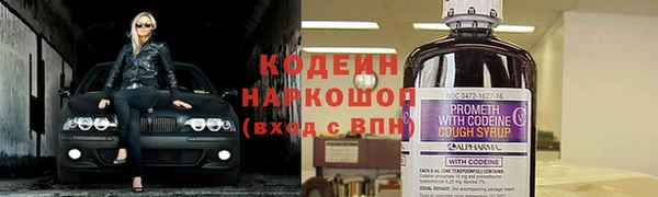 ГАЛЛЮЦИНОГЕННЫЕ ГРИБЫ Осинники
