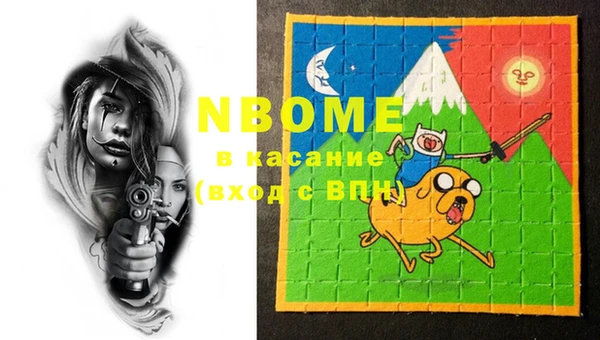 шишки Шадринск