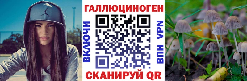 маркетплейс формула  магазин  наркотиков  Коломна  Псилоцибиновые грибы GOLDEN TEACHER 
